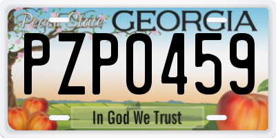 GA license plate PZP0459