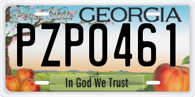 GA license plate PZP0461