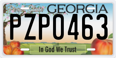 GA license plate PZP0463