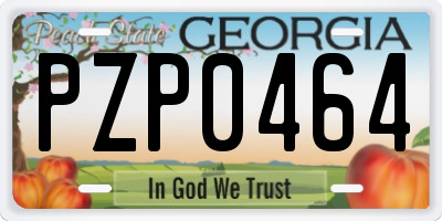 GA license plate PZP0464