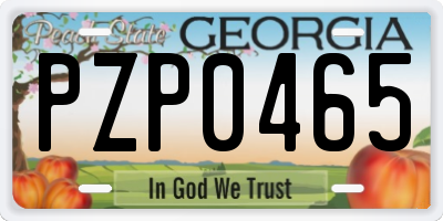 GA license plate PZP0465