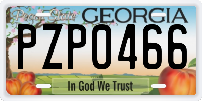 GA license plate PZP0466