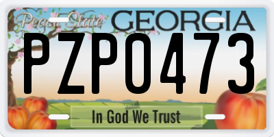 GA license plate PZP0473