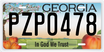 GA license plate PZP0478