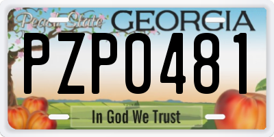 GA license plate PZP0481