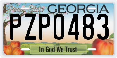GA license plate PZP0483
