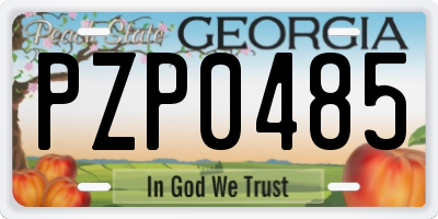 GA license plate PZP0485