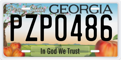 GA license plate PZP0486