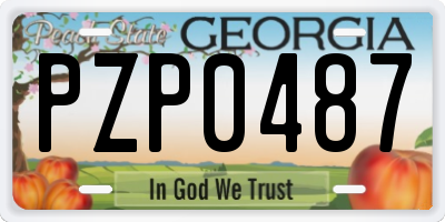 GA license plate PZP0487
