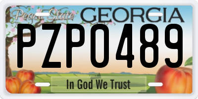 GA license plate PZP0489