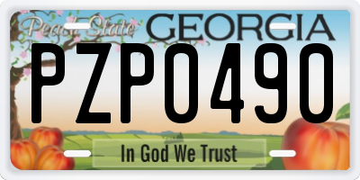 GA license plate PZP0490