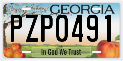 GA license plate PZP0491