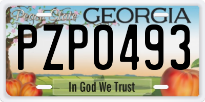 GA license plate PZP0493