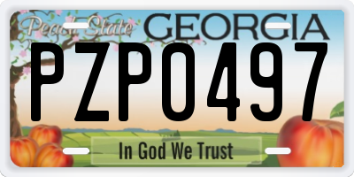 GA license plate PZP0497