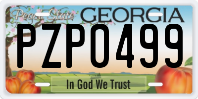 GA license plate PZP0499