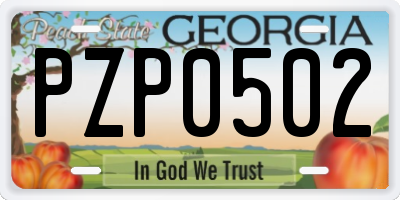GA license plate PZP0502