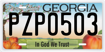 GA license plate PZP0503