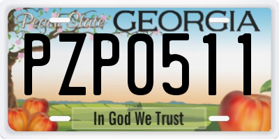 GA license plate PZP0511
