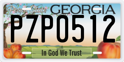 GA license plate PZP0512