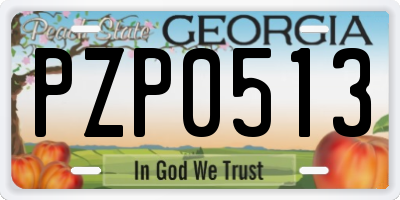 GA license plate PZP0513