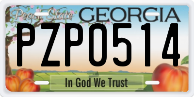 GA license plate PZP0514