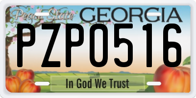 GA license plate PZP0516
