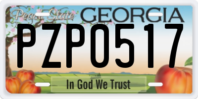 GA license plate PZP0517