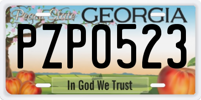 GA license plate PZP0523