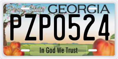 GA license plate PZP0524