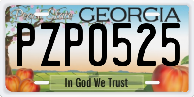 GA license plate PZP0525