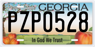 GA license plate PZP0528