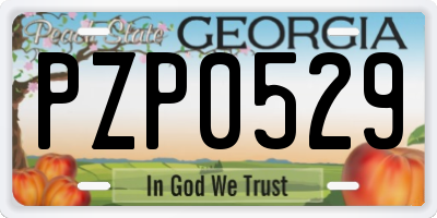 GA license plate PZP0529