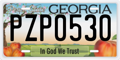 GA license plate PZP0530