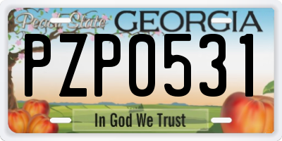 GA license plate PZP0531