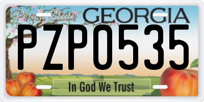GA license plate PZP0535