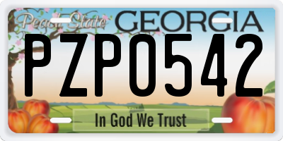 GA license plate PZP0542