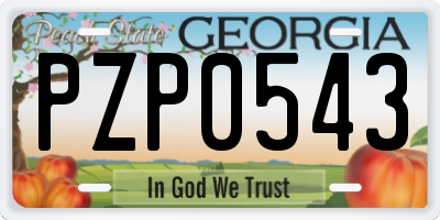 GA license plate PZP0543
