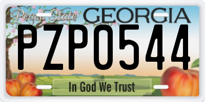 GA license plate PZP0544