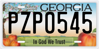 GA license plate PZP0545