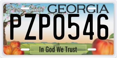 GA license plate PZP0546