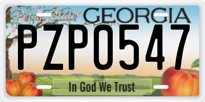 GA license plate PZP0547