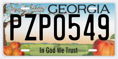 GA license plate PZP0549