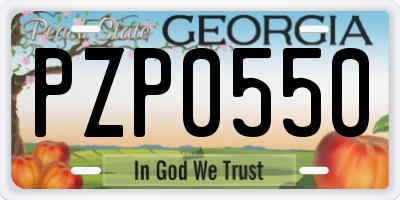 GA license plate PZP0550