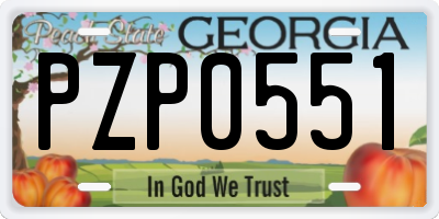 GA license plate PZP0551