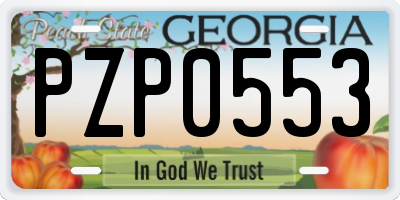 GA license plate PZP0553