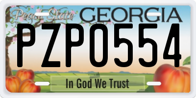 GA license plate PZP0554