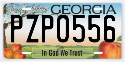 GA license plate PZP0556