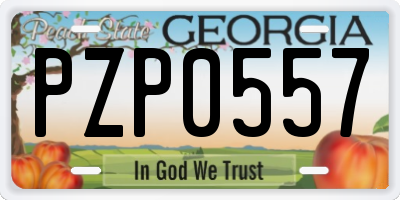GA license plate PZP0557