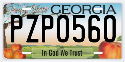 GA license plate PZP0560