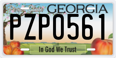 GA license plate PZP0561